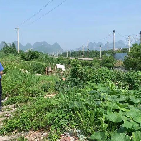 【建立常态化管理 健全长效化机制】加强辖区巡查