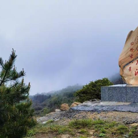 雨中·麓台山