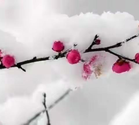 踏雪寻芳景物新，掬水含月似胜春---海城市初中英语四种课型展示活动南台二中站