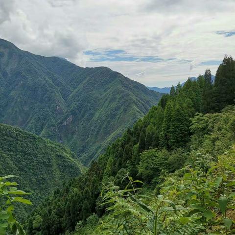 彭州白水河休闲掠影       2020年6月