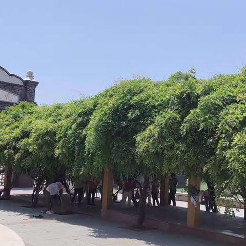 缤纷五月，让心飞翔姜疃鲁花中心小学