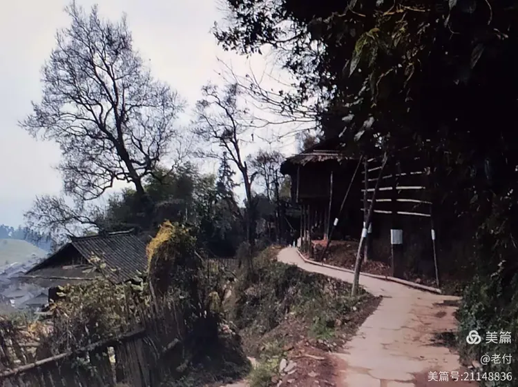 芭山旅游（巴山旅游攻略）《巴山景区》