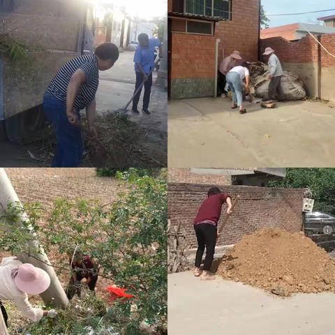 洛龙区丰李镇西鸣鹤社区环境整治