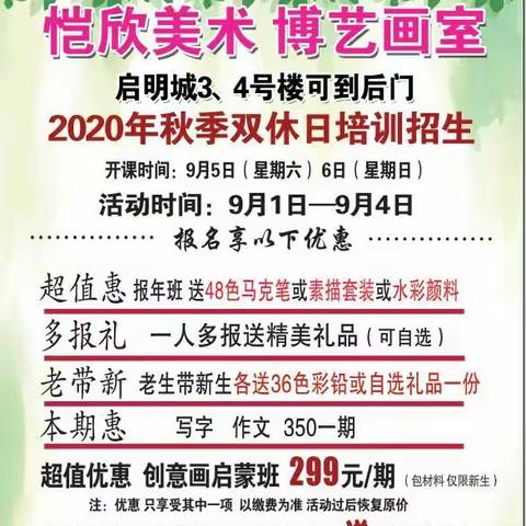 恺欣 博艺画室2020秋季报名开始了