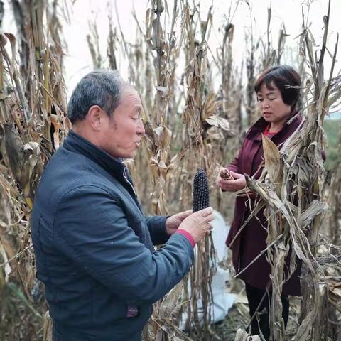 践行初心使命 助农抢收抢种