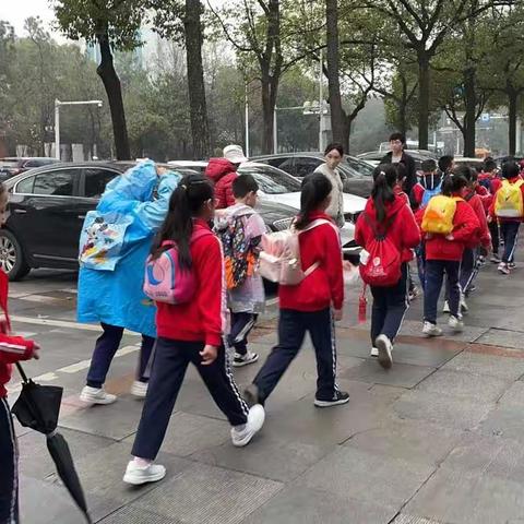 春风柳上归，春游正当时——记民院附小206班春游