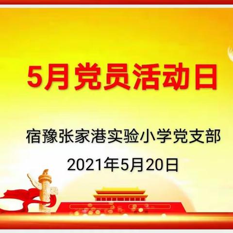 宿豫张家港实验小学党支部5月党员活动日剪影