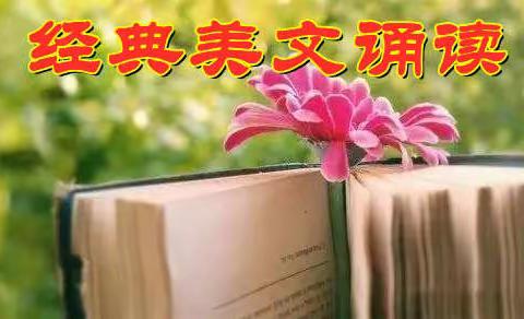 甘泉街小学【“我为你诵读”】（教师经典美文诵读）（第一期）