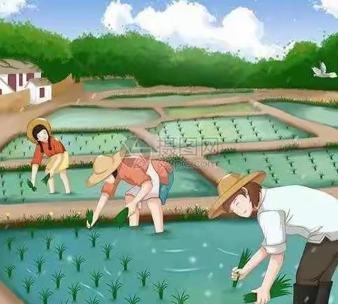 体验劳动之美 共享劳动之乐——凤山中心校刘营小学校园实践劳动记实