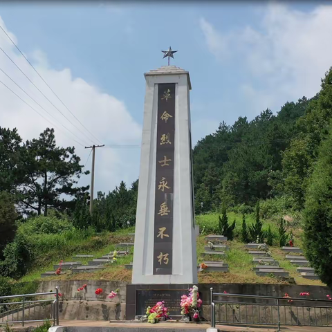 一寸山河一寸血，一抔热土，一抔魂 ———记大独山战斗