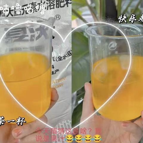 宴沃大量元素颗粒水溶肥