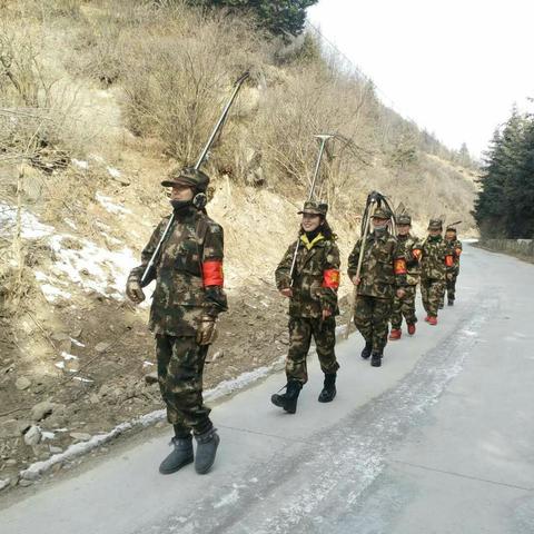 卡车林场――女子检查站一周工作总结