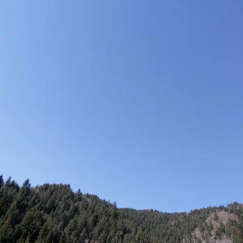 卡车林场――女子检查站一周工作总结