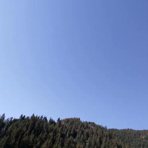 卡车林场――女子检查站一周工作总结