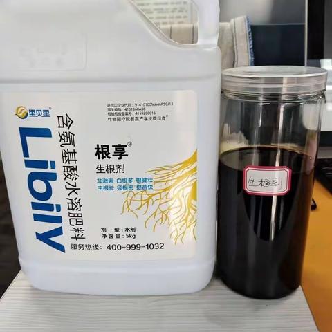 广西市场蔬菜爆款水溶肥以及效果案例