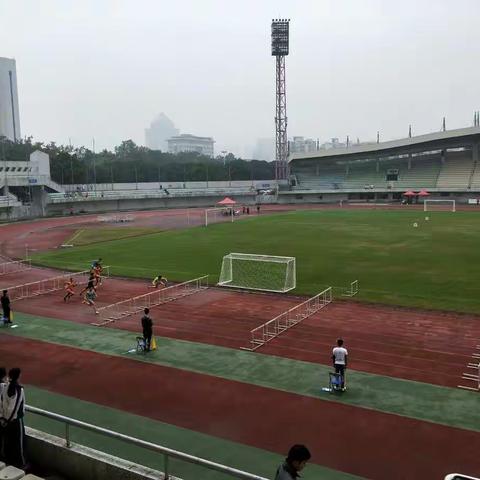 【强师工程】——深湾小学跟岗组 （11月15日）