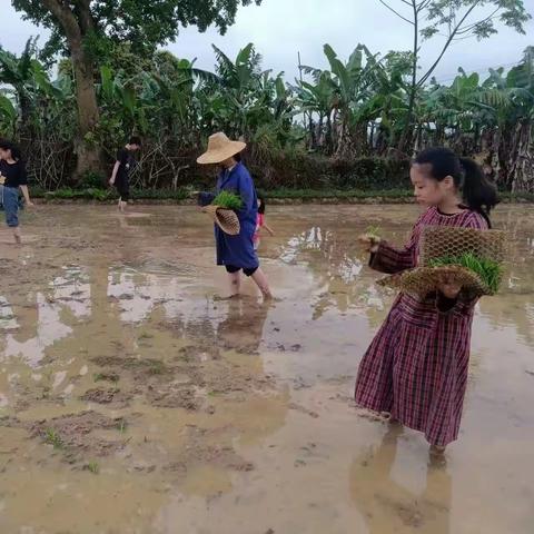 博白镇柯木村小学学农实践活动剪影