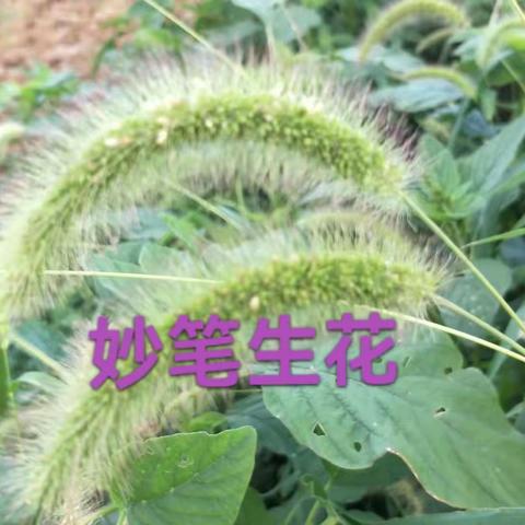 “妙笔生花”学习成果分享