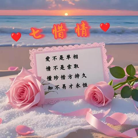 ❤️七惜情❤️