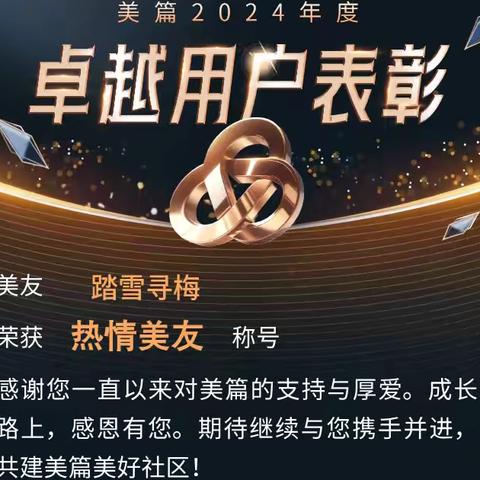 【自荐】2024年度卓越用户