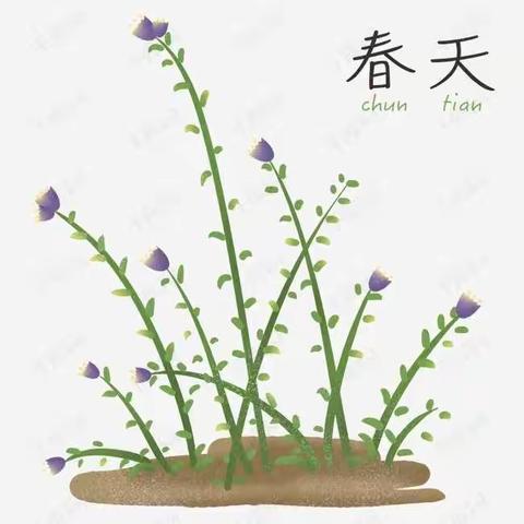 曙光R.综合课程——拥抱春天