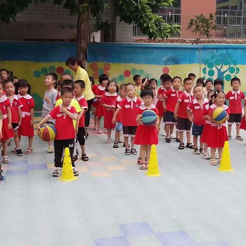 新太阳幼儿园篮球课程