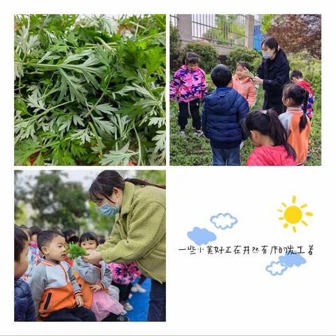 时代金果果幼儿园✨芒果三班🥭四月艳阳高高照🌞