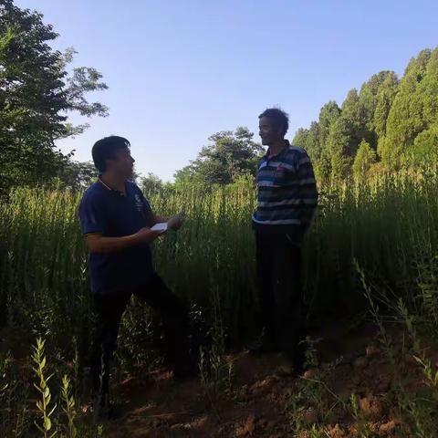 产业帮扶见成效 困难群众喜开颜（东明镇高庄村脱贫户--杜卯有）