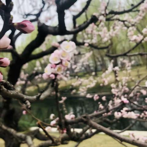 87@366-2024——闹天儿