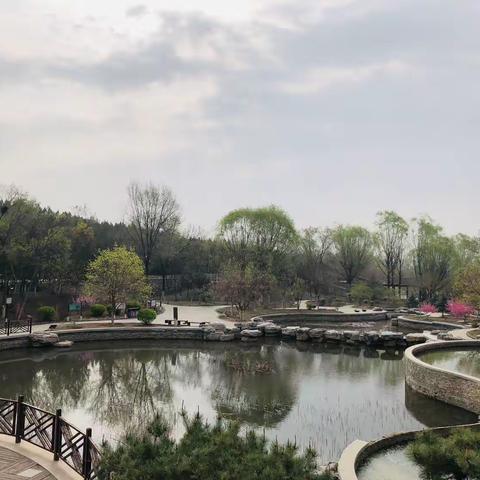 99@366-2024——北宫森林公园
