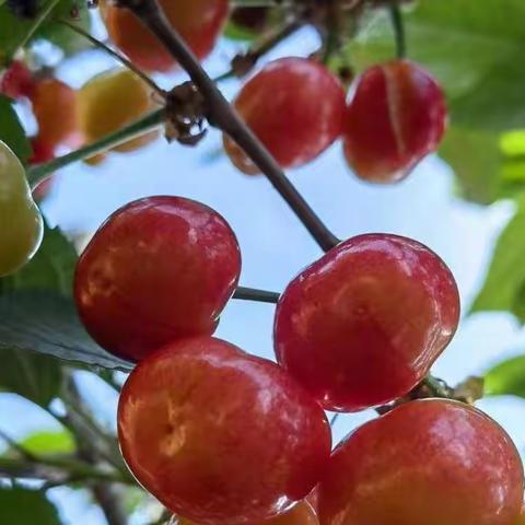 三年级二班《读不完的大书》仿写作品展