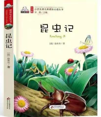 快乐阅读昆虫记 奇思妙想昆虫档案