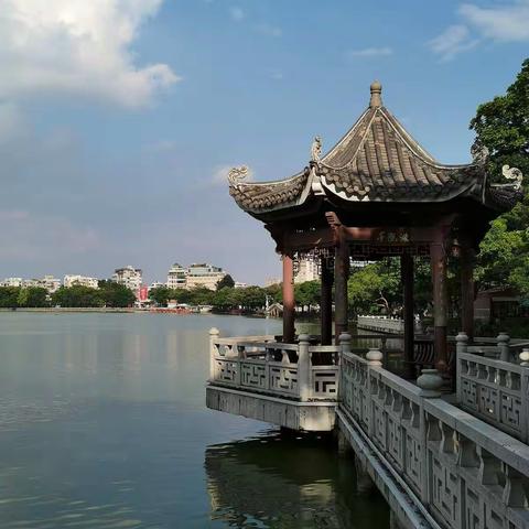 夏日西湖一角闷热而安静，但却是“去留无意，望天上云卷云舒”的最佳时光。