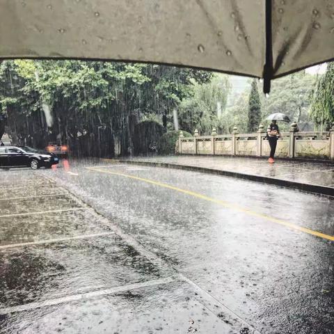雨