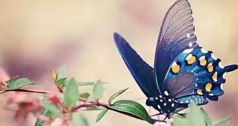 携手抗疫、让爱驻我家心理讲座听后感