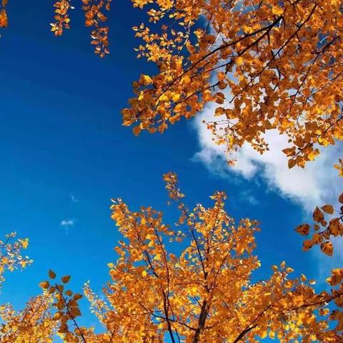 一切都好（原创）