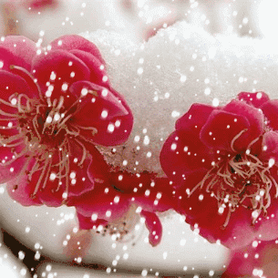 心眼小的人天地大不了