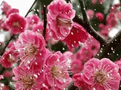 写给自己的情书