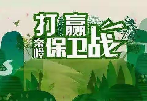 洛南县永丰中学开展秦岭生态环境保护主题活动展示