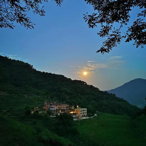 夜色里不能自拔