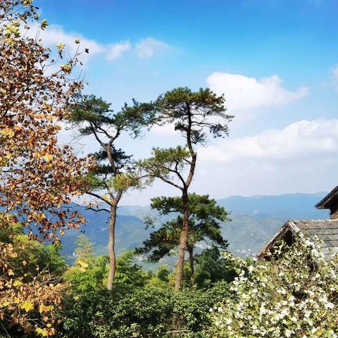 同学情深，               ……记2020年11月莫干山同学聚