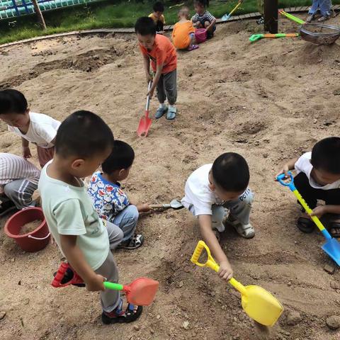 小沙池，大乐趣