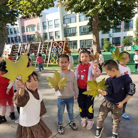 课程故事:落叶飘飘——小树叶，大世界