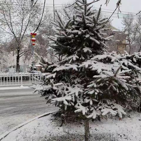 爱心守护、风雪同行，泓欣环境集团高效除雪保通畅