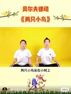 🎈线上教学，陪伴成长〖柠檬小班〗2022.11.10教学活动