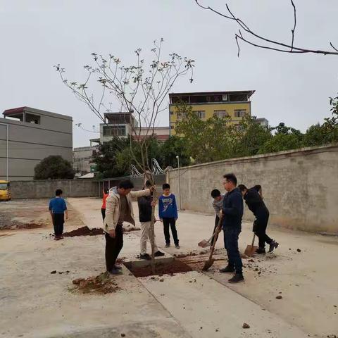 横县六景镇良圻小学“满校春色，植树有我”植树节活动