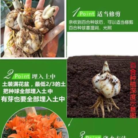 处处留心皆学问