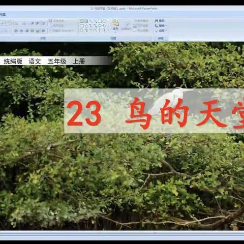 线上教学 践行成长———记枣庄逸夫小学东校五年级《鸟的天堂》线上教学展评课