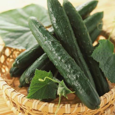 小小美食周―凉拌黄瓜