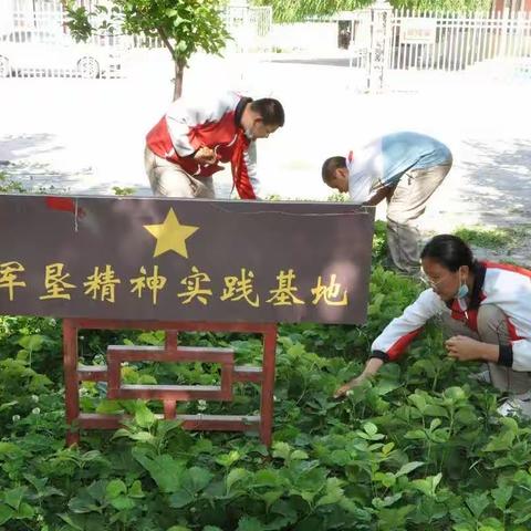 亲近自然 遇见“莓”好